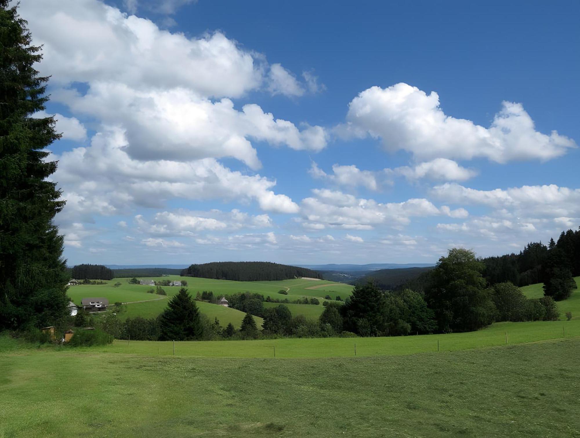 Ferienhaus Isele Feldberg  Exteriör bild